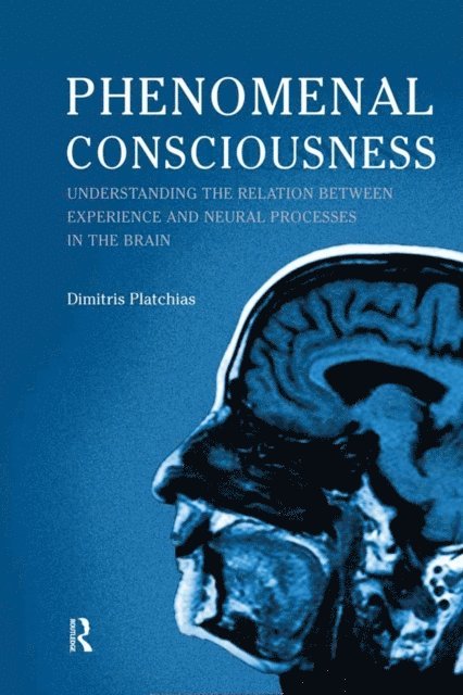 Dimitris Platchias - Phenomenal Consciousness, E-bok
