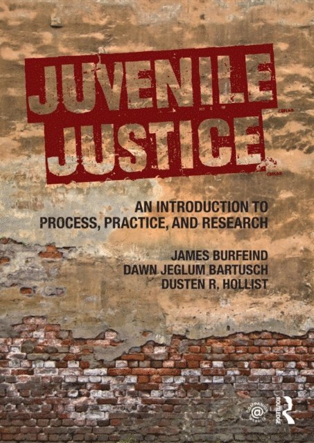 Dusten R. Hollist, Dawn Jeglum Bartusch, James Burfeind - Juvenile Justice, E-bok