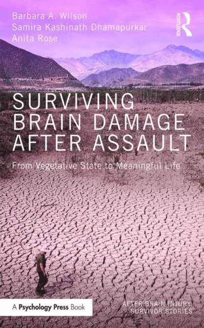 Anita Rose, Samira Kashinath Dhamapurkar, Barbara A. Wilson - Surviving Brain Damage After Assault, E-bok