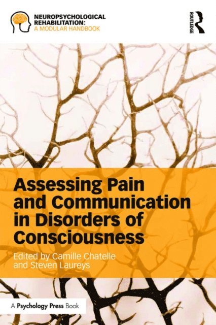 Steven Laureys, Camille Chatelle - Assessing Pain and Communication in Disorders of Consciousness, E-bok