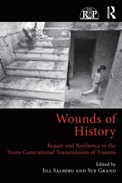 Sue Grand, Jill Salberg - Wounds of History, E-bok