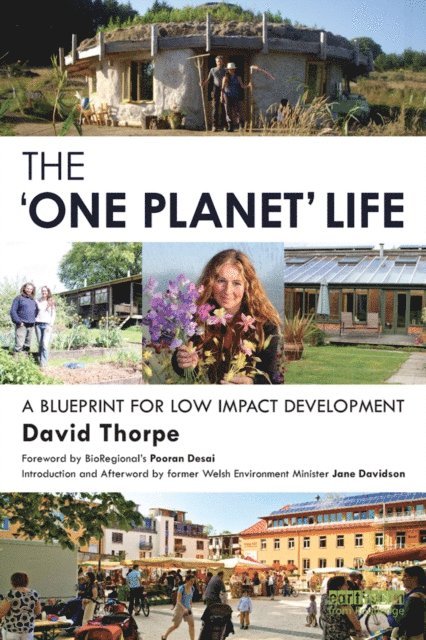 David Thorpe - 'One Planet' Life, E-bok