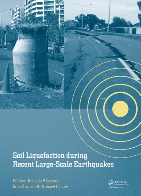 Nawawi Chouw, Ikuo Towhata, Rolando P. Orense - Soil Liquefaction during Recent Large-Scale Earthquakes, E-bok