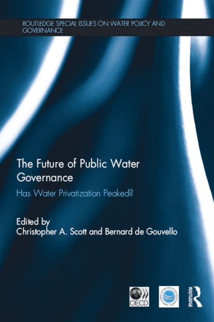 Miguel A. Garcia-Rubio, Asit Biswas, Francisco Gonzalez-Gomez, Cecilia Tortajada - Private Sector and Water Pricing in Efficient Urban Water Management, E-bok