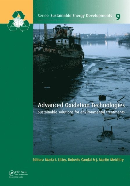 J. Martin Meichtry, Roberto J. Candal, Marta I. Litter - Advanced Oxidation Technologies, E-bok