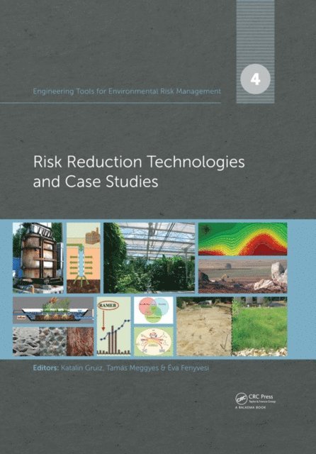 Eva Fenyvesi, Tamas Meggyes, Katalin Gruiz - Engineering Tools for Environmental Risk Management, E-bok