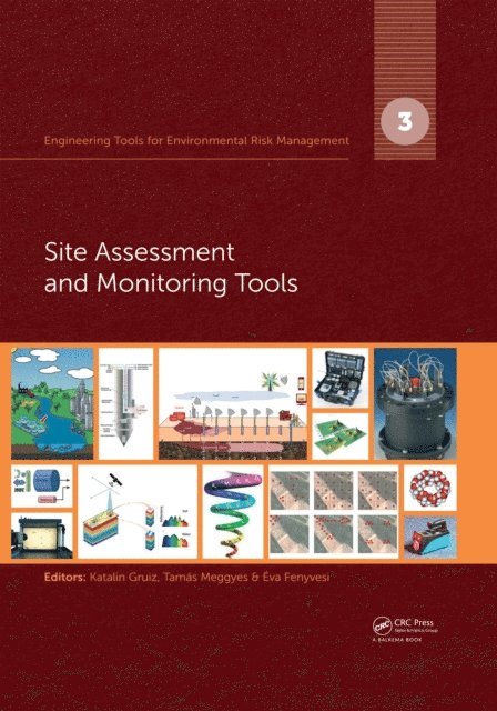 Eva Fenyvesi, Tamas Meggyes, Katalin Gruiz - Engineering Tools for Environmental Risk Management, E-bok