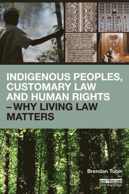 Brendan Tobin - Indigenous Peoples, Customary Law and Human Rights - Why Living Law Matters, E-bok