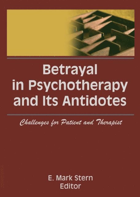 E Mark Stern - Betrayal in Psychotherapy and Its Antidotes, E-bok