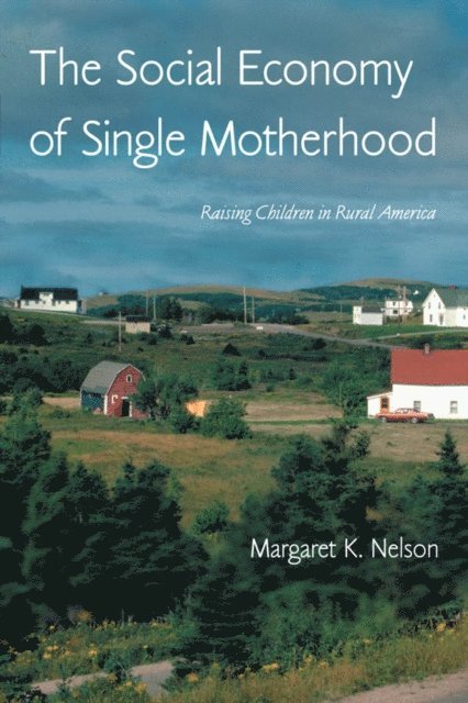 Margaret Nelson - Social Economy of Single Motherhood, E-bok