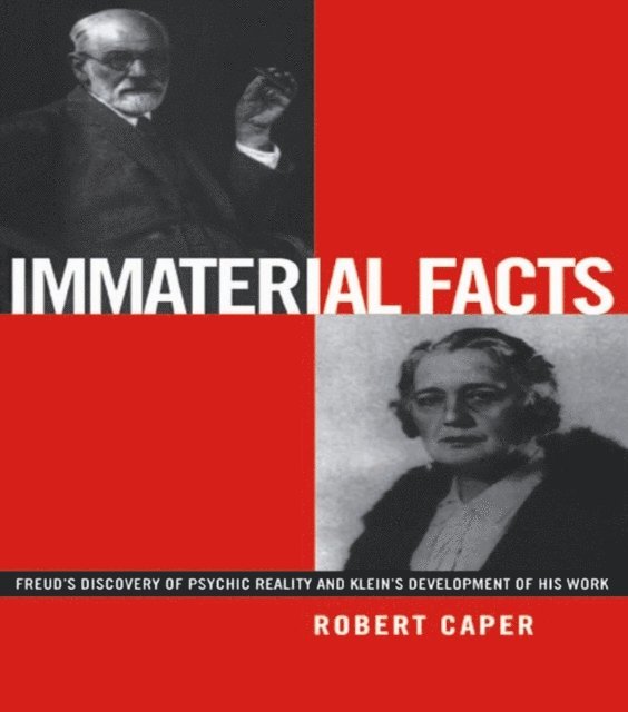 Robert Caper - Immaterial Facts, E-bok