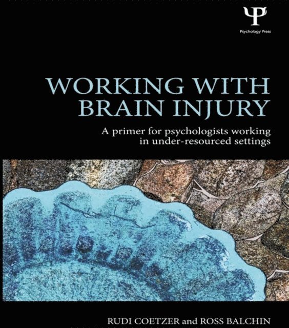 Ross Balchin, Rudi Coetzer - Working with Brain Injury, E-bok