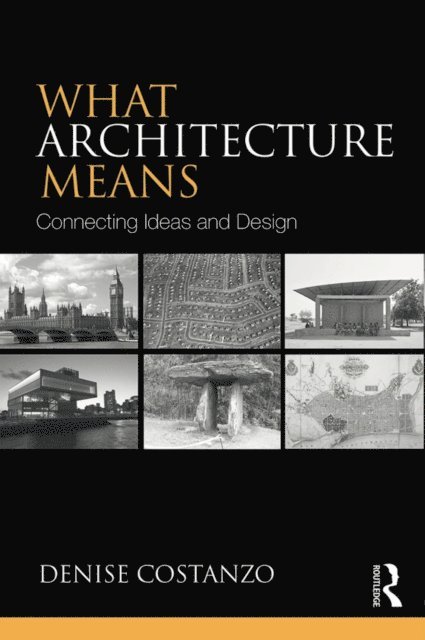 Denise Costanzo - What Architecture Means, E-bok
