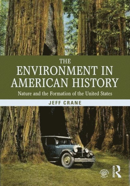 Jeff Crane - Environment in American History, E-bok