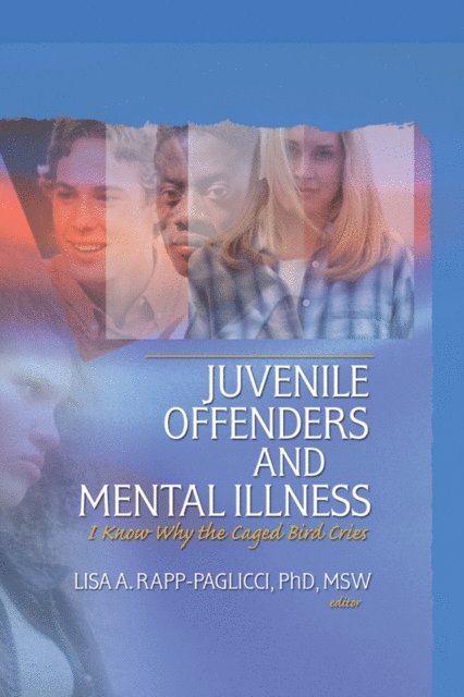 Lisa A. Rapp-Paglicci - Juvenile Offenders and Mental Illness, E-bok