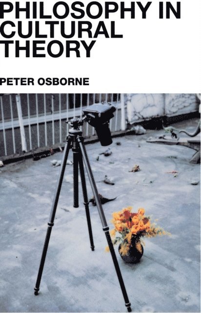 Peter Osborne - Philosophy in Cultural Theory, E-bok