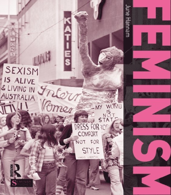June Hannam - Feminism, E-bok