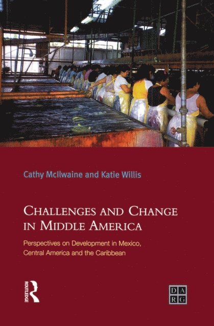 Cathy Mcilwaine, Katie Willis - Challenges and Change in Middle America, E-bok