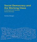 Social Democracy and the Working Class