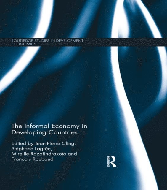 Francois Roubaud, Mireille Razafindrakoto, Stephane Lagree, Jean-Pierre Cling - Informal Economy in Developing Countries, E-bok
