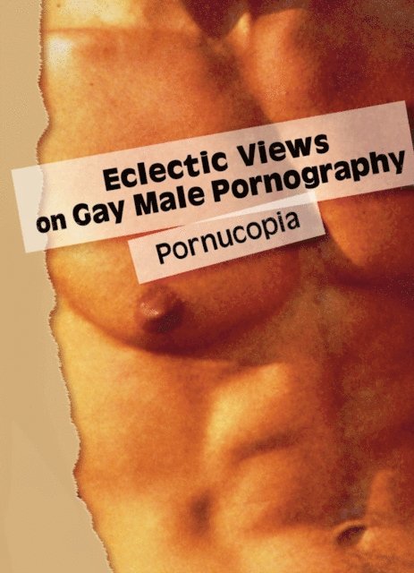 Todd Morrison - Eclectic Views on Gay Male Pornography, E-bok