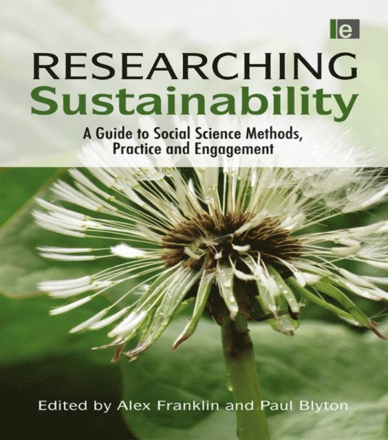 Paul Blyton, Alex Franklin - Researching Sustainability, E-bok