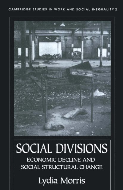 Lydia Morris - Social Divisions, E-bok