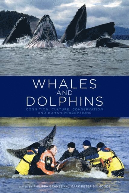 Mark Peter Simmonds, Philippa Brakes - Whales and Dolphins, E-bok