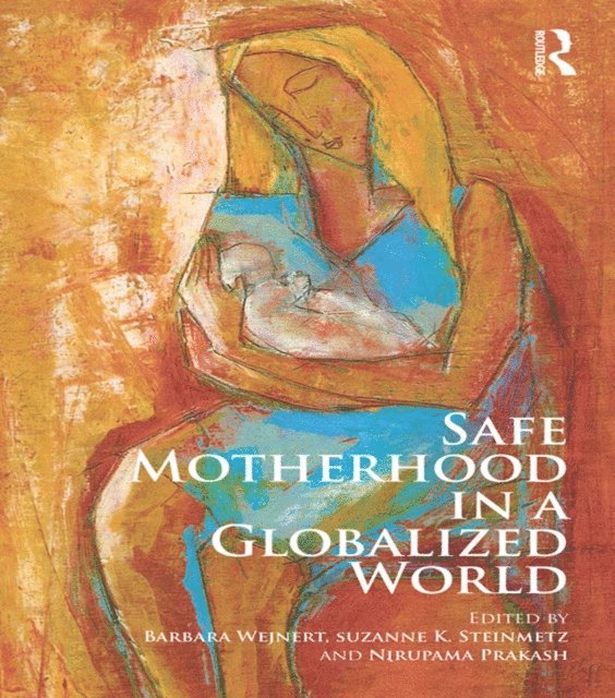 Nirupama Prakash, Suzanne K. Steinmetz, Barbara Wejnert - Safe Motherhood in a Globalized World, E-bok