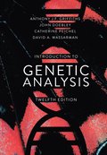Introduction to Genetic Analysis (International Edition)