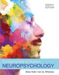 Fundamentals of Human Neuropsychology
