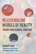 Reassembling Models of Reality