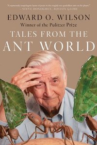 Tales From The Ant World