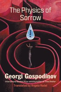 The Physics of Sorrow - A Novel