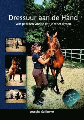 Dressuur aan de Hand