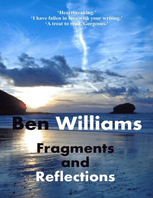 Ben Williams - Fragments and Reflections, E-bok