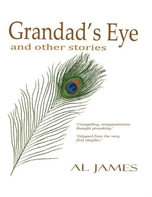 Al James - Grandad's Eye: And Other Stories, E-bok