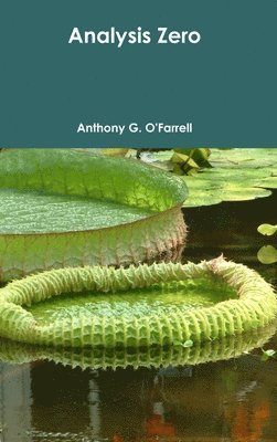 Anthony G. O'Farrell - Analysis Zero, Inbunden