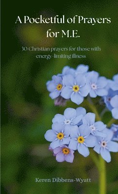 Keren Dibbens-Wyatt - Pocketful of Prayers for M.E., Häftad