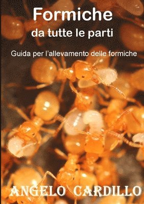 Angelo Cardillo - Formiche da tutte le parti - Suggerimenti per l’allevamento di formiche (ECO), Häftad