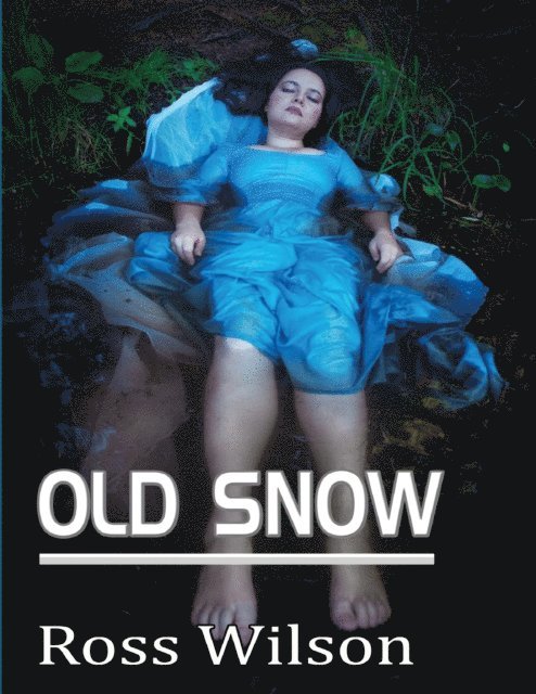 Ross Wilson - Old Snow, E-bok