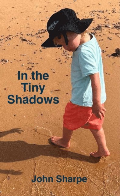 John Sharpe - In the Tiny Shadows, E-bok