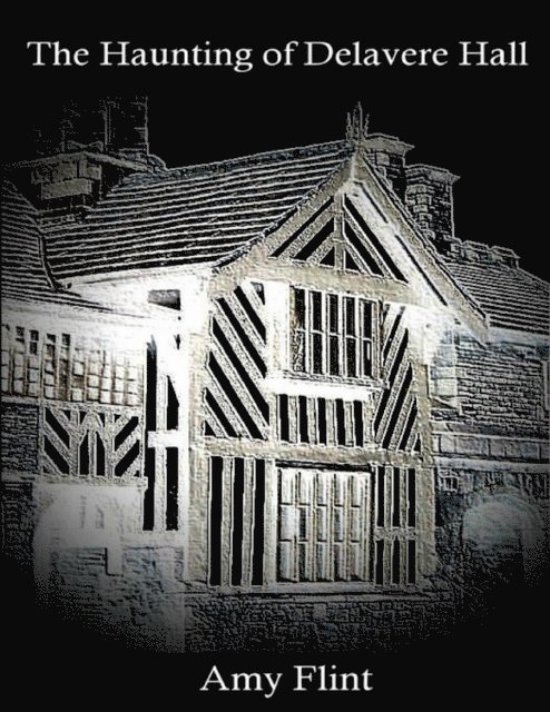 Amy Flint - Haunting of Delavere Hall, E-bok