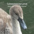 Schwanengesang