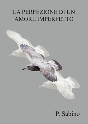 Pasquale Sabino - perfezione di un amore imperfetto, Häftad. Tillgänglighet: Lägg i varukorg