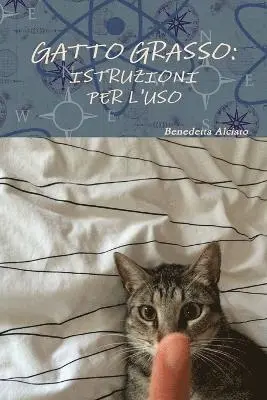 Benedetta Alciato - Gatto Grasso: Istruzioni Per L'Uso, Häftad. Tillgänglighet: Lägg i varukorg