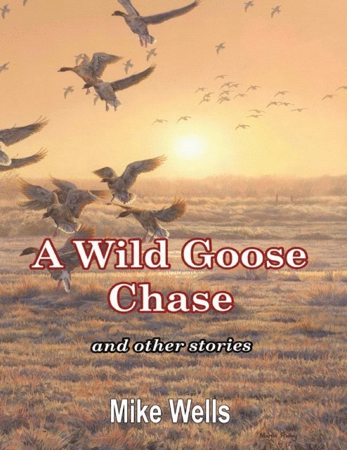 Mike Wells - Wild Goose Chase: And Other Stories, E-bok
