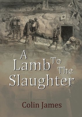 Colin James - Lamb to the Slaughter, Häftad