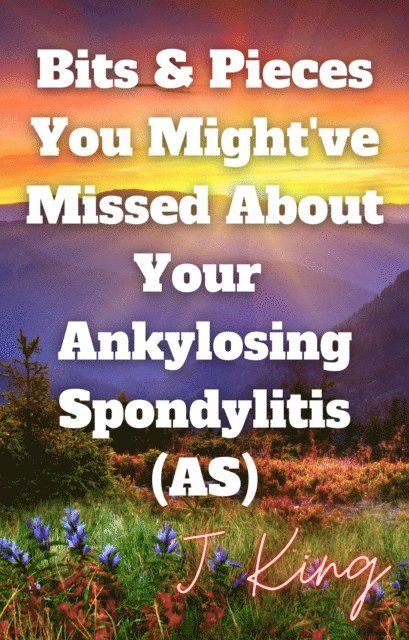 J King - Bits & Pieces You Might've Missed About Your Ankylosing Spondylitis (AS), E-bok