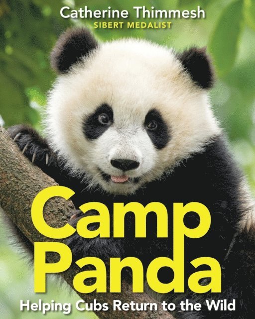 Catherine Thimmesh - Camp Panda, E-bok